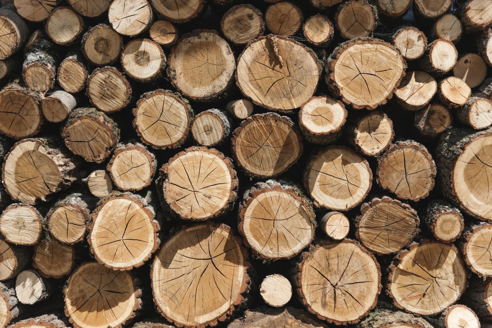 Wood sales building materials